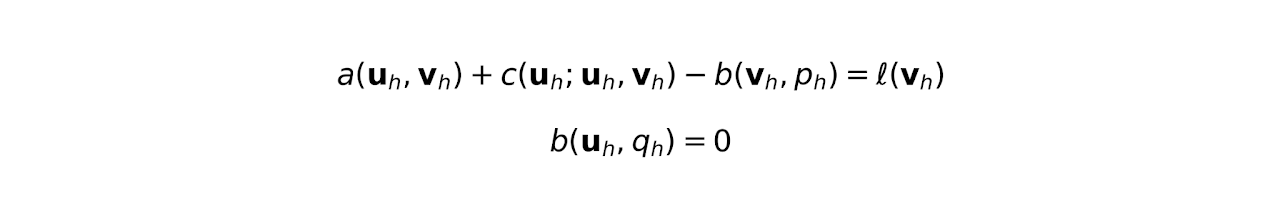 Schematic mixed weak form used by the solver